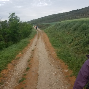 Fundraising Page: Bob Creevy